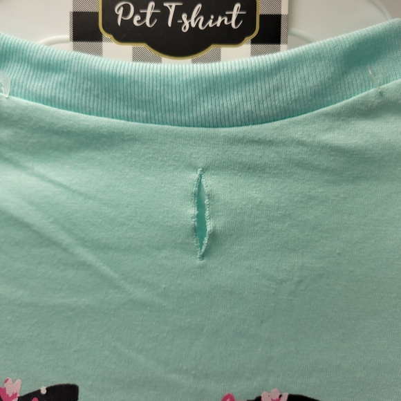 Woof Brand Pet Dog Love Spring Floral T Shirt Outfit Costume Size XL Teal Blue - Picture 4 of 11